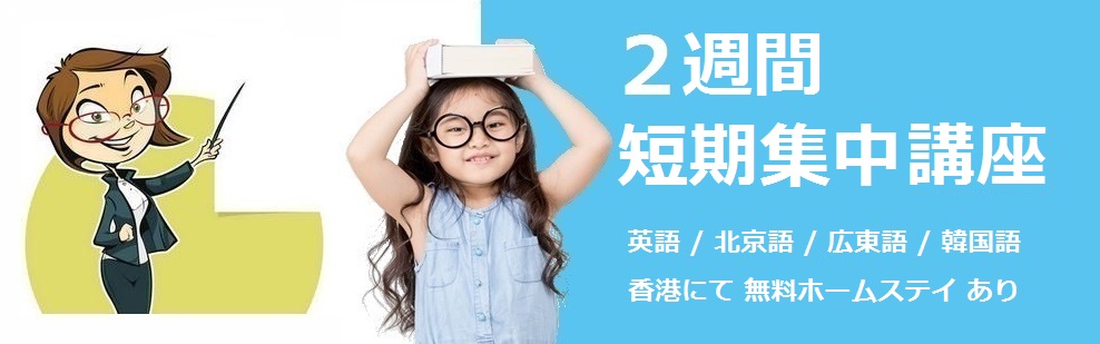 2週間集中コース