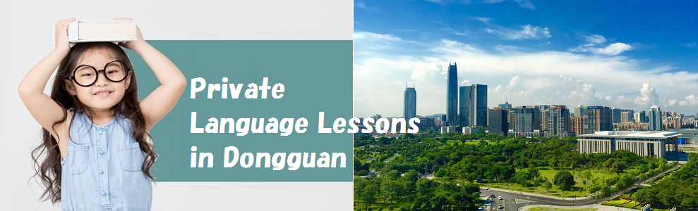 Private Language Lesson